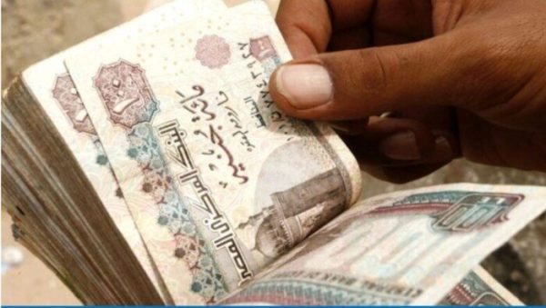 بنك ناصر يفتح فروعه يوم السبت المقبل لصرف معاشات فبراير لـ 2 مليون عميل - 3 - سيناء الإخبارية