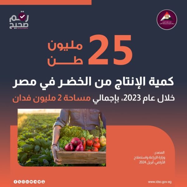 25 مليون طن كمية الإنتاج من الخضر فى مصر خلال عام 2023 بإجمالي مساحة 2 مليون فدان - 3 - سيناء الإخبارية