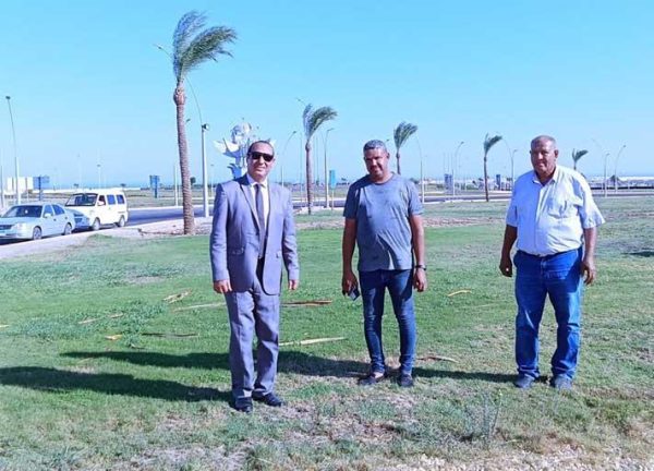 خالد مبارك يوجه باختيار موقع لزراعة 25 شجرة زيتون مثمرة - 3 - سيناء الإخبارية