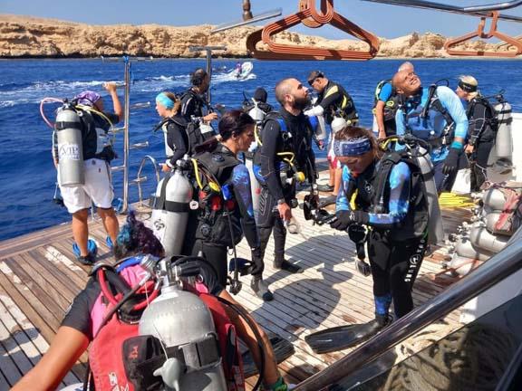 محمية رأس محمد.. غواصون يجمعون 400 كيلو مخلفات للحفاظ على البيئة البحرية - 3 - سيناء الإخبارية