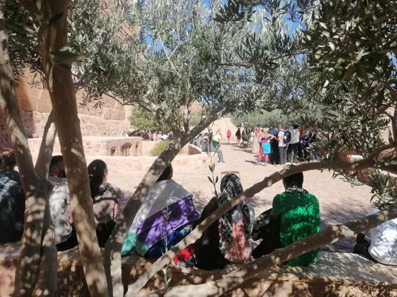 سانت كاترين تستقبل 232 سائحاً من مختلف الجنسيات لزيارة الدير وجبل موسى - 3 - سيناء الإخبارية