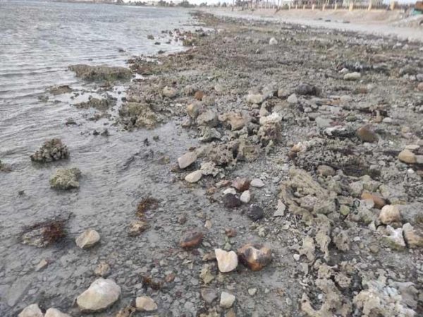 انحسار مياه شاطئ الجبيل بمدينة الطور في جنوب سيناء 8 أمتار داخل البحر - 5 - سيناء الإخبارية