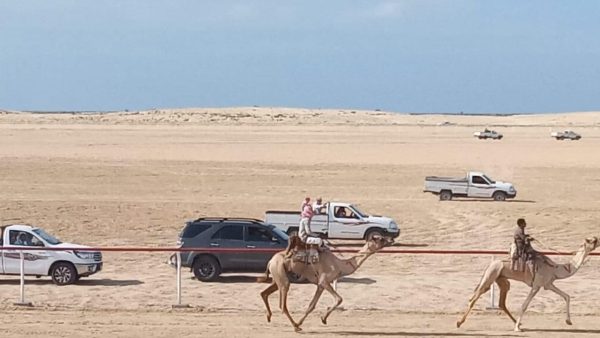 شمال سيناء تتمتع بالطابع الساحلي الصحراوي لتصبح وجهة محببة إلى القلب في اليوم العالمي للسياحة - 3 - سيناء الإخبارية