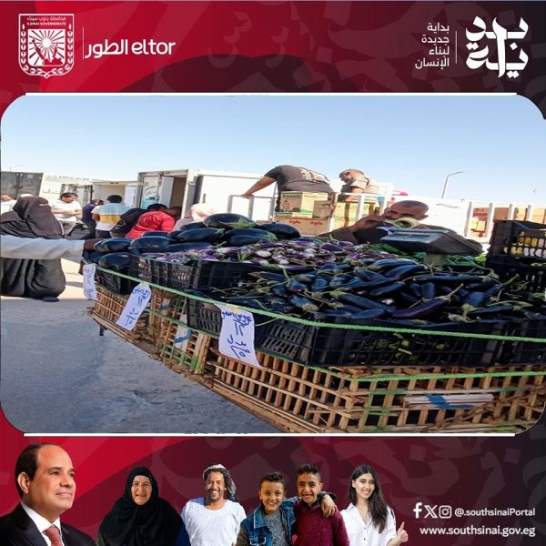 انطلاق أولى قوافل السيارات المتنقلة للسلع الغذائية في طور سيناء بخصومات تصل لـ15% - 5 - سيناء الإخبارية