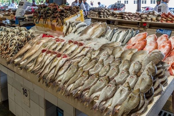 أسعار الأسماك في مصر اليوم.. ارتفاع البلطي إلى 89 جنيها في سوق العبور - 1 - سيناء الإخبارية