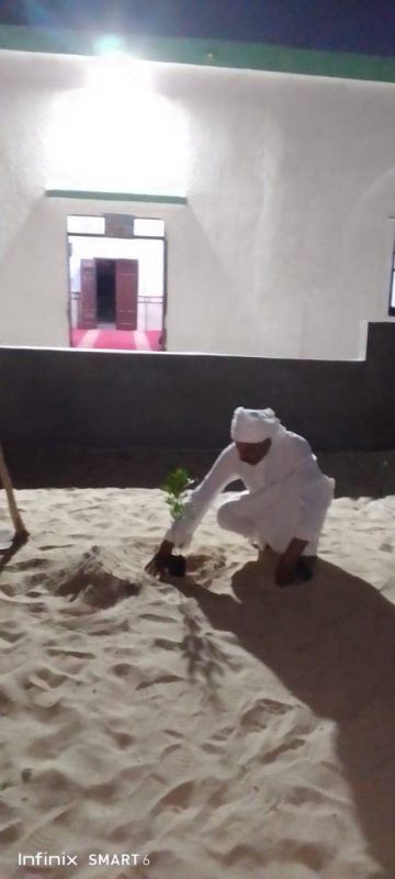مديرية أوقاف شمال سيناء تطلق مبادرة لزراعة الأشجار حول المساجد في إطار حملة 100 مليون شجرة - 5 - سيناء الإخبارية