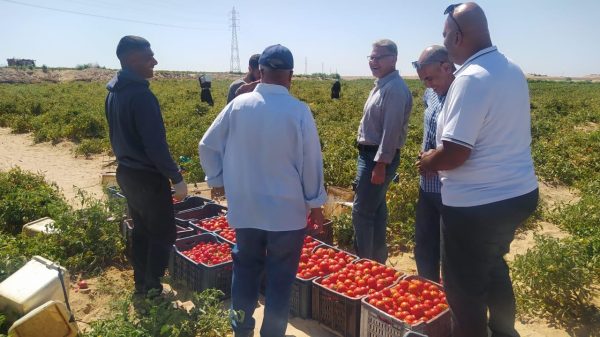 إدارة مكافحة الآفات تؤكد على استعدادها لتقديم الدعم اللوجستي والعيني والفني لشمال سيناء - 1 - سيناء الإخبارية