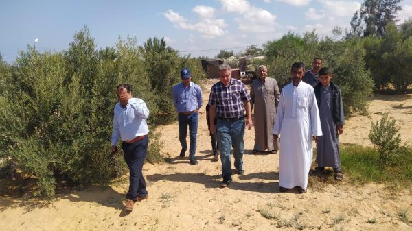 إدارة مكافحة الآفات تؤكد على استعدادها لتقديم الدعم اللوجستي والعيني والفني لشمال سيناء - 3 - سيناء الإخبارية
