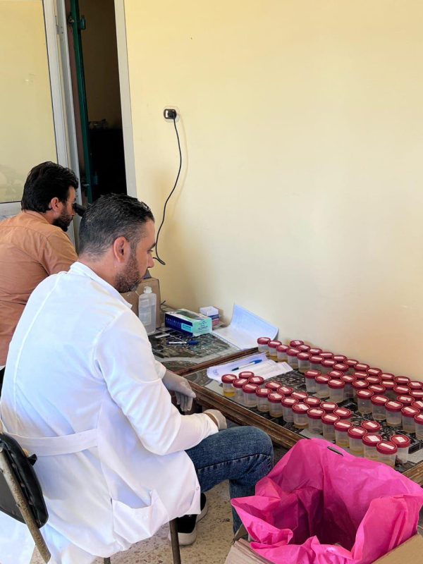 الصحة تطلق حملات وقائية للفحص والكشف المبكر وعلاج أمراض البلهارسيا والطفيليات المعوية لطلاب المدارس بالمناطق الريفية - 1 - سيناء الإخبارية