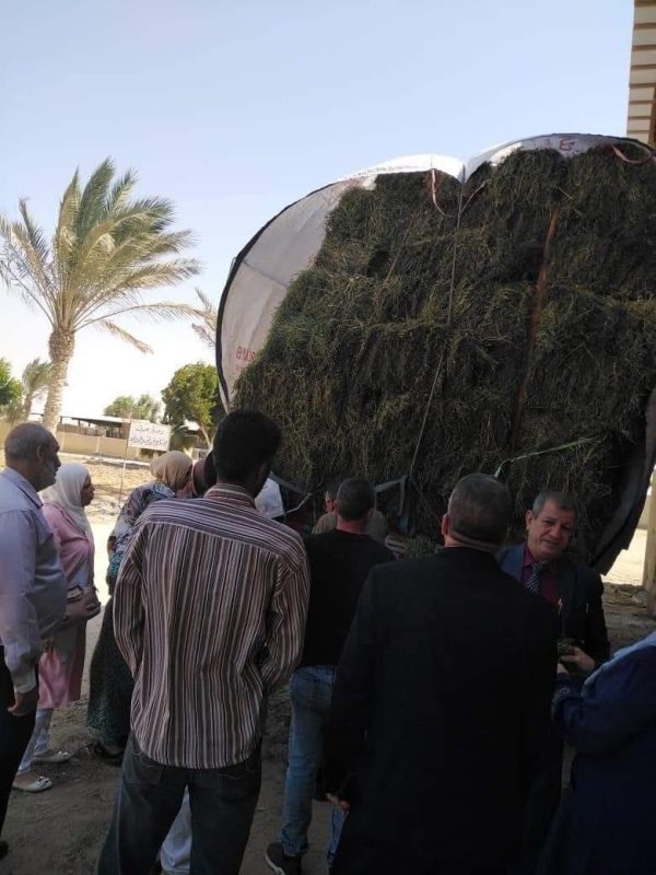 بمشاركة 30 مهندسا زراعيا.. ختام دورة تدريبية برأس سدر بالمناطق الصحراوية - 3 - سيناء الإخبارية