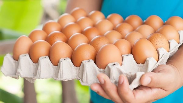 تغريم 4 من سماسرة بيض المائدة 20 مليون جنيه بواقع 5 ملايين جنيه لكل منهم - 1 - سيناء الإخبارية