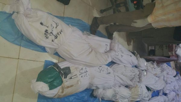 جرائم حرب في السودان.. ولاية الجزيرة تفقد أرواح أطفالها بسلاح قوات الدعم السريع - 7 - سيناء الإخبارية