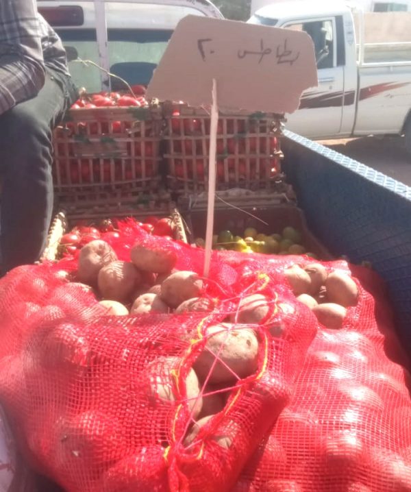 محافظة جنوب سيناء تطلق قوافل لبيع السلع الغذائية واللحوم بتخفيضات تصل إلى 20% - 3 - سيناء الإخبارية