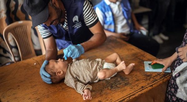 حملة التطعيم ضد شلل الأطفال في قطاع غزة تواجه تحديات خطيرة بسبب الاحتلال الإسرائيلي - 1 - سيناء الإخبارية