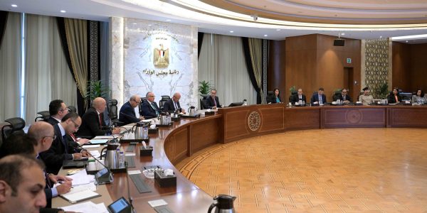 رئيس مجلس الوزراء يؤكد على أهمية العلاقات المصرية الأفريقية - 1 - سيناء الإخبارية