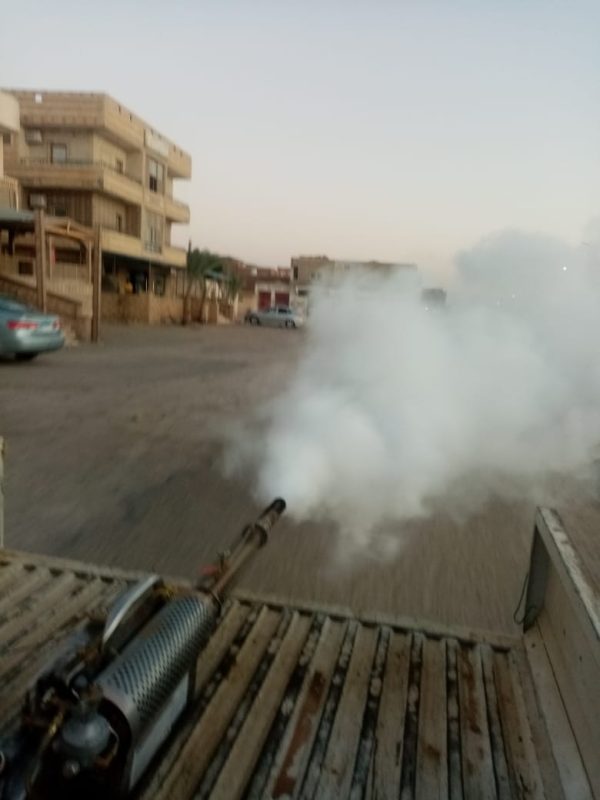 مدينة أبو زنيمة تطلق حملة مكثفة لمكافحة البعوض والحشرات الناقلة للأمراض - 1 - سيناء الإخبارية