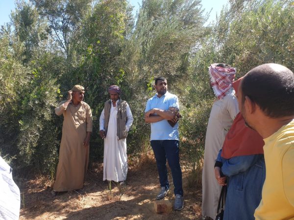 جامعة قناة السويس تطلق قافلة طبية وبيطرية شاملة إلى رأس مسلة بجنوب سيناء - 3 - سيناء الإخبارية