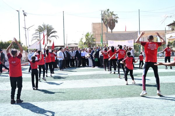 وزير الشباب ومحافظ الغربية يفتتحا حمام سباحة وتفقد المشروعات والأنشطة بمركز شباب المدينة - 7 - سيناء الإخبارية
