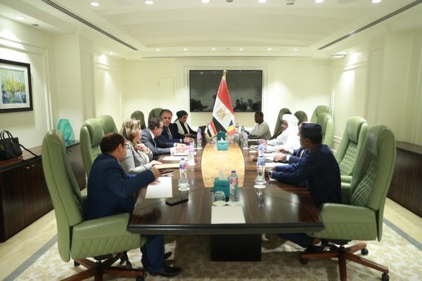 وزير الصحة يستقبل وزير صحة جمهورية تشاد لمناقشة سبل التعاون المشترك - 1 - سيناء الإخبارية