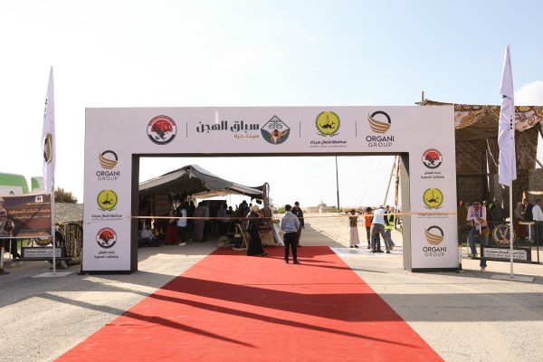 اتحاد القبائل والعائلات المصرية يرعى تنشيط السياحة في سيناء من خلال سباق الهجن الكبير - 11 - سيناء الإخبارية
