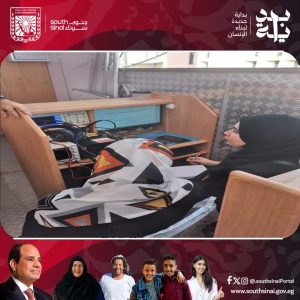 مديرية العمل بجنوب سيناء تطلق دورة تدريبية مجانية في الحاسوب لتمكين الشباب من المهارات الرقمية - 1 - سيناء الإخبارية