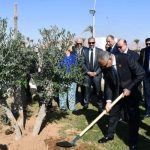 شركة المهندس للتأمين تطلق مبادرة "Go Green" لزراعة أشجار الزيتون بشرم الشيخ تعزيزاً للاستدامة البيئية - 15 - سيناء الإخبارية