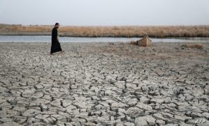 تغير المناخ يهدد الحياة في القارة السمراء.. وفاة 4700 أفريقي و118 مليون آخرين يواجهون الموت جوعًا - 7 - سيناء الإخبارية