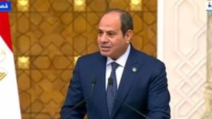 السيسي والرئيس النيجيري يتبادلان الخبرات في موضوعات مكافحة الإرهاب والتطرف - 3 - سيناء الإخبارية