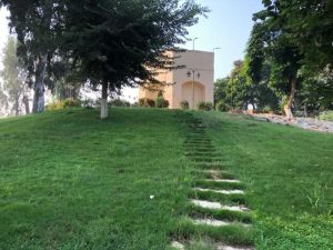القناطر الخيرية.. 200 عام من عبقرية الري و8400 ميل من جمال الطبيعة في قلب دلتا النيل - 5 - سيناء الإخبارية