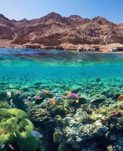 جنوب سيناء محافظة ساحرة وواحدة من أبرز الوجهات السياحية في مصر - 5 - سيناء الإخبارية
