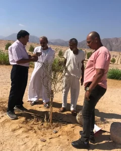 خالد مجاور يؤكد أنه سيتم توزيع شتلات الزيتون على المزارعين المستفيدين من شبكات الري بالمجان - 1 - سيناء الإخبارية