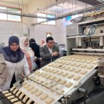 مديرية الزراعة تجهز 105 آلاف وجبة غذائية لتلاميذ 323 مدرسة في شمال سيناء - 1 - سيناء الإخبارية