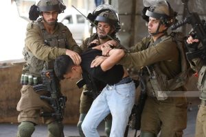 قوات الاحتلال تعتقل 15 مواطنا على الأقل بالضفة الغربية بينهم طفل - 1 - سيناء الإخبارية