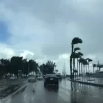 الأرصاد: شتاء هذا العام أقل برودة من السابق وظاهرة الشبورة الأكثر تأثيرًا - 5 - سيناء الإخبارية