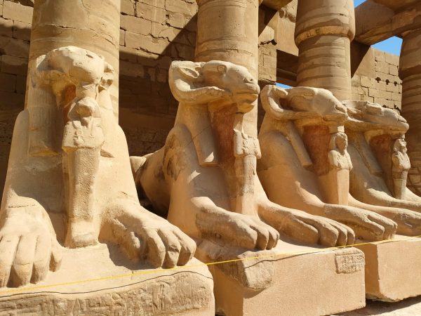 تقرير: الأقصر تحتل مكانة مرموقة ضمن أفضل وجهات العالم السياحية لعام 2025 - 1 - سيناء الإخبارية