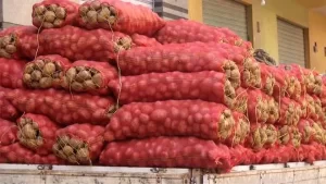 أسعار الخضروات في سوق العبور اليوم الثلاثاء.. الليمون يصل إلى 42 جنيهًا في الجملة - 1 - سيناء الإخبارية