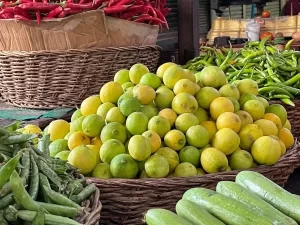 استقرار نسبي بأسعار الخضروات اليوم الأحد..وسط تقلبات طفيفة - 1 - سيناء الإخبارية