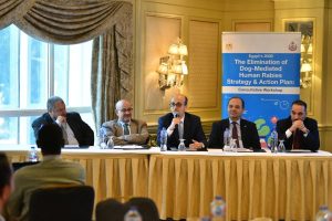 الصحة تنظم ورشة عمل تحت عنوان " تحديث إستراتيجية مصر 2030 للقضاء على السعار المنقول عن طريق الكلاب " - 1 - سيناء الإخبارية