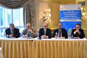 الصحة تنظم ورشة عمل تحت عنوان " تحديث إستراتيجية مصر 2030 للقضاء على السعار المنقول عن طريق الكلاب " - 3 - سيناء الإخبارية