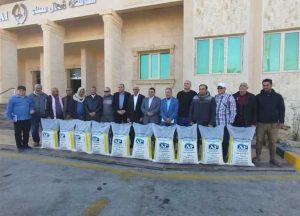 بعد غياب عدة سنوات.. توزيع 50 طنا من " سلفات نشادر " على المزارعين بمدينة العريش - 5 - سيناء الإخبارية