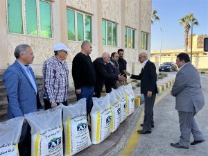 بعد غياب عدة سنوات.. توزيع 50 طنا من " سلفات نشادر " على المزارعين بمدينة العريش - 1 - سيناء الإخبارية