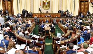 لإنشاء حزب جديد..تحركات كثيرة لتعزز المنافسة وصنع كوادر شابة لخوض الاستحقاقات الانتخابية - 5 - سيناء الإخبارية