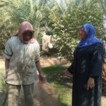 قافلة زراعية شاملة تجوب قرية الجبيل بجنوب سيناء لتحسين إنتاجية النخيل والزيتون - 3 - سيناء الإخبارية