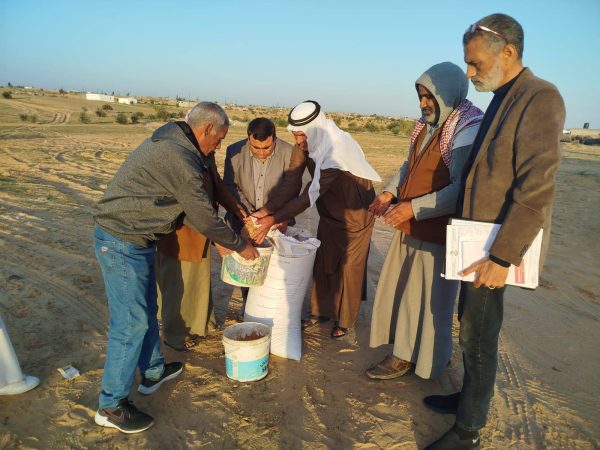 شمال سيناء توزع نصف طن من تقاوي الشعير مجانًا على المزارعين في رفح - 3 - سيناء الإخبارية