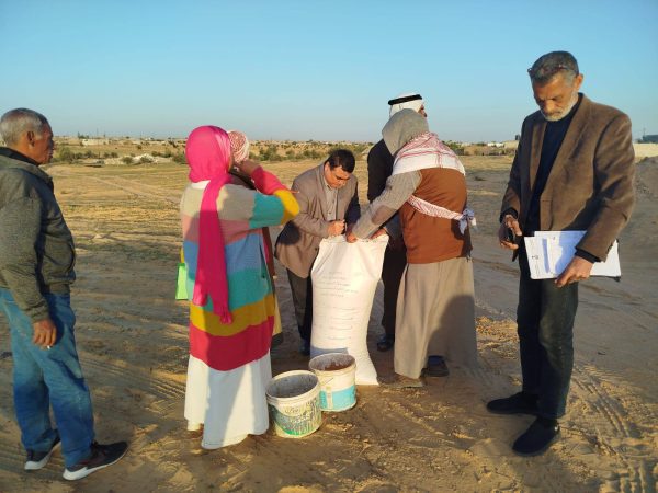 شمال سيناء توزع نصف طن من تقاوي الشعير مجانًا على المزارعين في رفح - 1 - سيناء الإخبارية