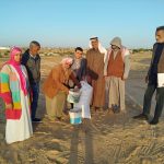 شمال سيناء توزع نصف طن من تقاوي الشعير مجانًا على المزارعين في رفح - 3 - سيناء الإخبارية