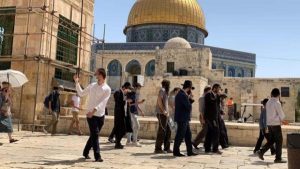عشرات المستوطنين يقتحموا باحات المسجد الأقصى بحماية الشرطة الإسرائيلية - 3 - سيناء الإخبارية