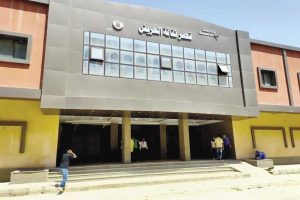 فرع ثقافة شمال سيناء يعلن عرض فيلم الحريفة على مسرح قصر الثقافة - 3 - سيناء الإخبارية