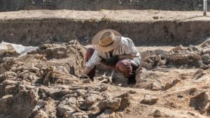 في واقعة غريبة من نوعها.. اكتشاف 4 مجموعات من آثار الأقدام تقدم فهما جديدا لتطور البشر - 5 - سيناء الإخبارية