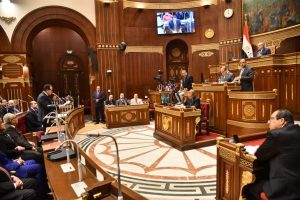 مجلس الشيوخ يوافق نهائيا على مشروع قانون المسؤلية الطبية وحماية المريض - 5 - سيناء الإخبارية